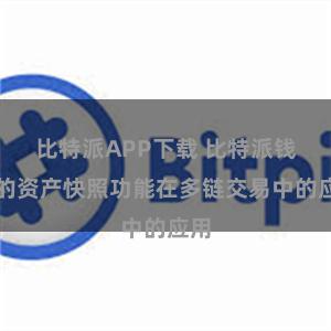 比特派APP下载 比特派钱包的资产快照功能在多链交易中的应用