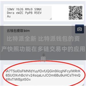 比特派全新 比特派钱包的资产快照功能在多链交易中的应用